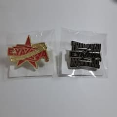 矢沢永吉さんの ピンバッジ2点セット - メルカリ