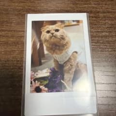 ギョドン様専用のサムネイル
