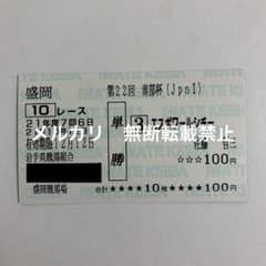 現地的中】単勝馬券 第22回マイルCS南部杯エスポワールシチー2番人気1