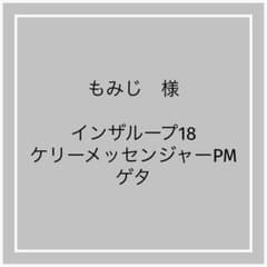 ケリーメッセンジャーPM インザループ18 ゲタ バッグインバッグ - メルカリ