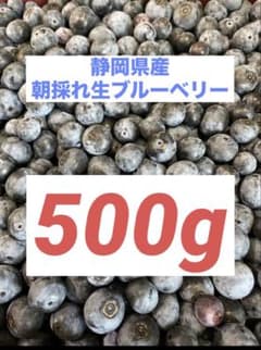 【静岡県産・無農薬】新鮮朝採れブルーベリー 500gのサムネイル