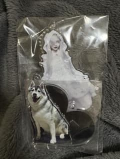 紫月レンゲ マーキュロ 2024生誕アクスタ - メルカリ