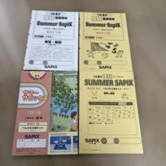 SAPIX サマーサピックス 小学4年 - メルカリ