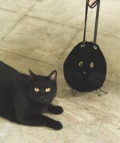 【新品　未使用】CAT IN DA HOUSE クロネコキンチャクのサムネイル