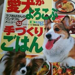 楓来様専用　本のサムネイル