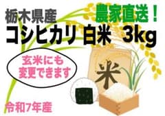 令和7年 栃木県産コシヒカリ 3kg☆白米】 - メルカリ