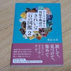 ひとりで探せる川原や海辺のきれいな石の図鑑2のサムネイル