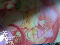 モンスター娘のいる日常 オカヤド サイン入り アクリルボード - メルカリ