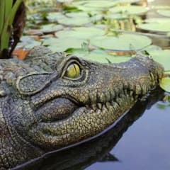 ワニ フィギュア リアル 置物のサムネイル
