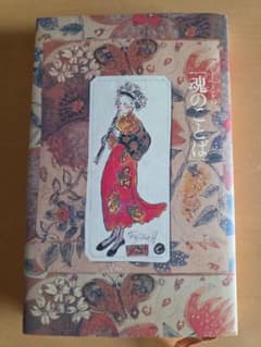 「魂のことば」 フジ子・ヘミングのサムネイル