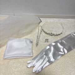 結婚式　ブライダル小物　6点セット　ベール　ティアラピアス　ウェディンググローブのサムネイル