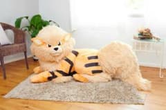 m65518535268_1.jpg?1753675541