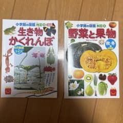 小学館の図鑑NEO 生き物かくれんぼ 野菜と果物 2冊セット - メルカリ