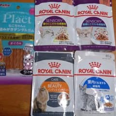 ロイヤルカナンウェット ＆ 歯磨きおやつ 猫用のサムネイル