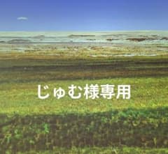じゅむ様　専用のサムネイル