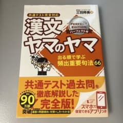 漢文 ヤマのヤマ パーフェクト版のサムネイル