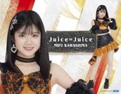 ピクチャーボードSR 35川嶋美楓のサムネイル