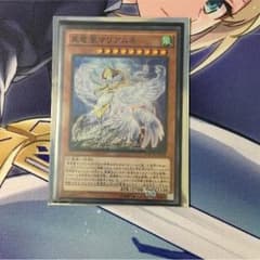 真竜鳳マリアムネ スーパーのサムネイル