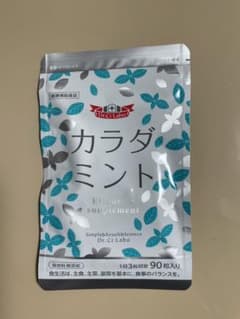 るるる様専用 カラダミントのサムネイル