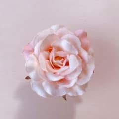 バラのクリップのサムネイル