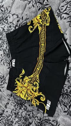 Engage Fight Shorts Martial Arts