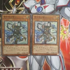 青き眼の賢士(スーパー)２枚/バラ売り可のサムネイル
