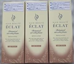 ヘアボーテ エクラ ボタニカル エアカラーフォーム EXライトブラウン3個セットのサムネイル