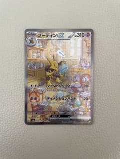 フーディン　SARのサムネイル