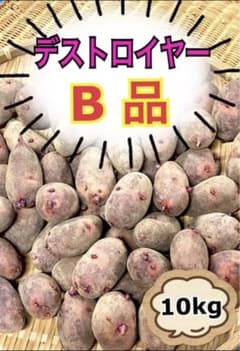 ② じゃがいも　デストロイヤー　B品　10kgのサムネイル