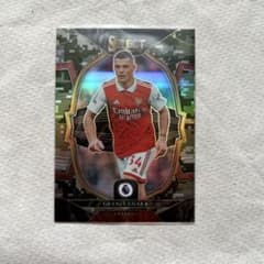 panini select ジャカ 225枚限定のサムネイル