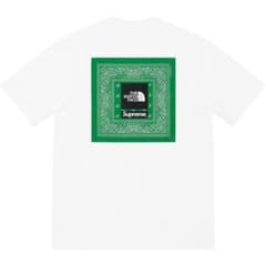Supreme / The North Face Bandana Teeのサムネイル