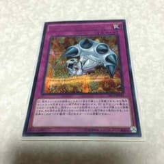 ポタポタ様専用 ブレイクスルースキル シークレットのサムネイル