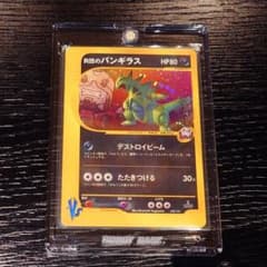m65569901448_1.jpg?1735588570