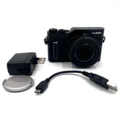 極美品PANASONIC LUMIX DC-GF10 レンズセット #160 - メルカリ