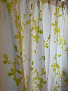 春風わたるカーテンのサムネイル