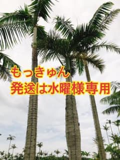 カラージェル　GRACIELのサムネイル