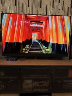 引取のみ　パナソニックTH-55HZ1800 55型 有機EL スタンド付き♪のサムネイル
