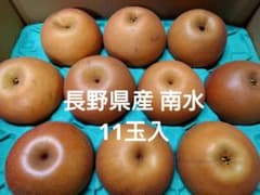 長野県産 南水11玉のサムネイル