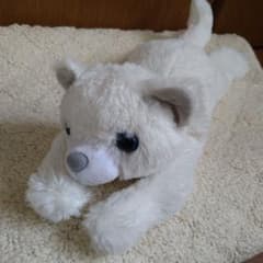 希少　廃盤品　ニトリ　クタクタヌイグルミ　猫　白猫　青 希少 廃盤品 ニトリ クタクタヌイグルミ 猫 白猫 青 - メルカリ
