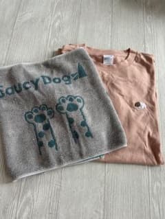 Saucy Dog ライブタオル　ピンクTシャツ　セットのサムネイル