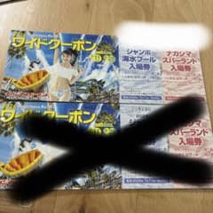 ナガシマスパーランド ワイドクーポン 一枚セット - メルカリ