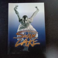 Matthew Bourne's SWAN LAKE パンフレットのサムネイル