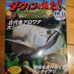 ダーウィンが来た!DVD付き(開封済み)のサムネイル
