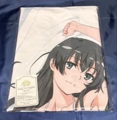 【新品未開封】 佐天涙子 抱き枕カバー しろもうふVer. とある科学の超電磁砲 m65598492653_1.jpg?1772684616