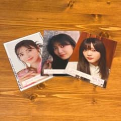 田村保乃　生写真ヨリ30枚セット 田村保乃 生写真ヨリ30枚セット 櫻坂46 田村保乃 自業自得 封入 ヨリ