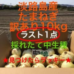 ★ラスト1点★淡路島産 たまねぎ 淡路島　タマネギ10kg   訳ありのサムネイル