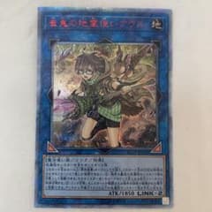 遊戯王　崔嵬の地霊使い　アウス　20thシークレットレア PSA10 遊戯王 崔嵬の地霊使いアウス 20thシークレットレア 日版 - メルカリ