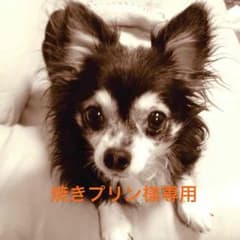 焼きプリン様専用のサムネイル