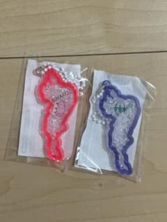 琵琶湖キーホルダー　マキノ追坂峠 2個セット　桜・メタセコイアのサムネイル