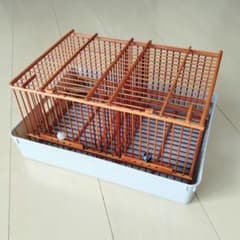 手作りメジロ籠 水浴び用 2部屋 新品未使用 トレー付き - メルカリ